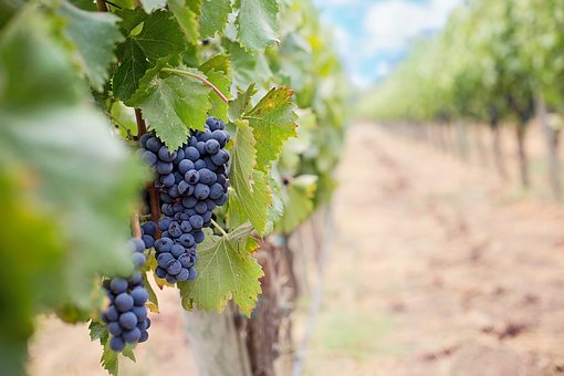 Creativ Festival, Wine and Quilt Tour October 17th, 2019 – October 25th, 2019